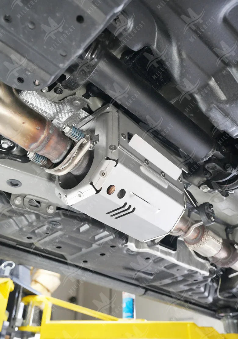 Lexus RX 350 2016-2022 Cat Shield